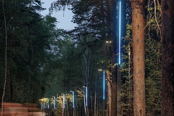 Украшение цветодинамической подсветкой Шарташского лесопарка в Екатеринбурге